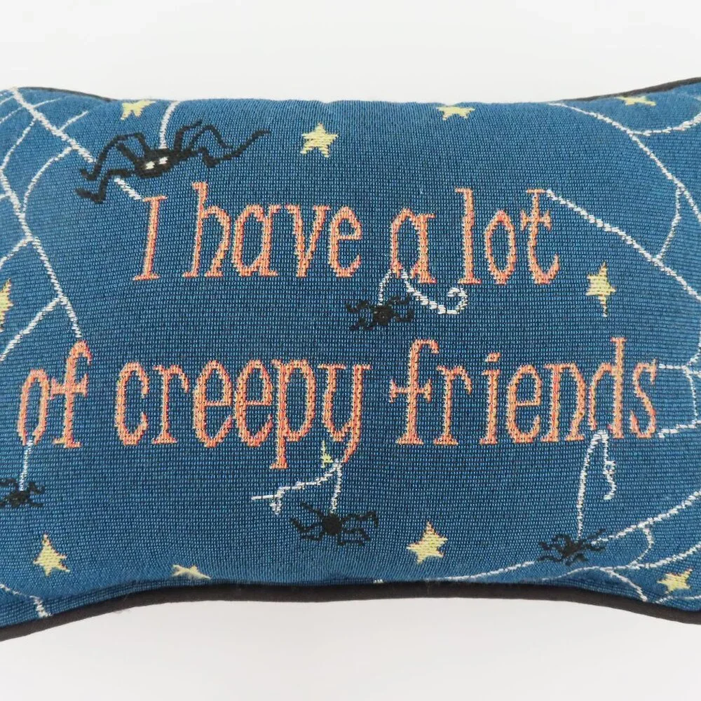 I Have A Lot Of Creepy Friends Cobweb Spider Halloween Spooky Accent Pillow